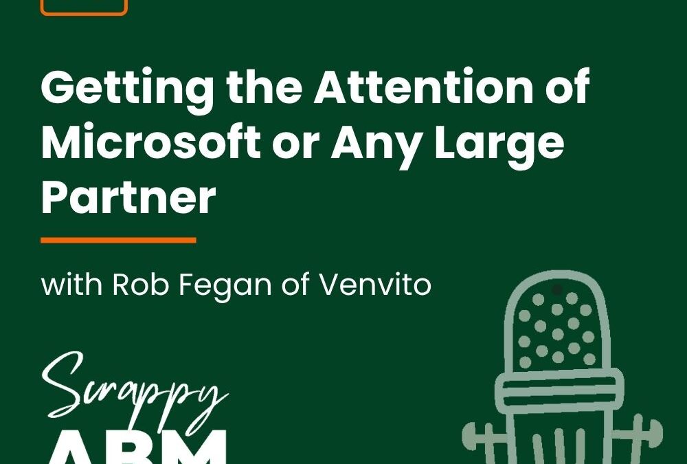Episode 38 – Getting the Attention of Microsoft or Any Large Partner with Rob Fegan of Venvito