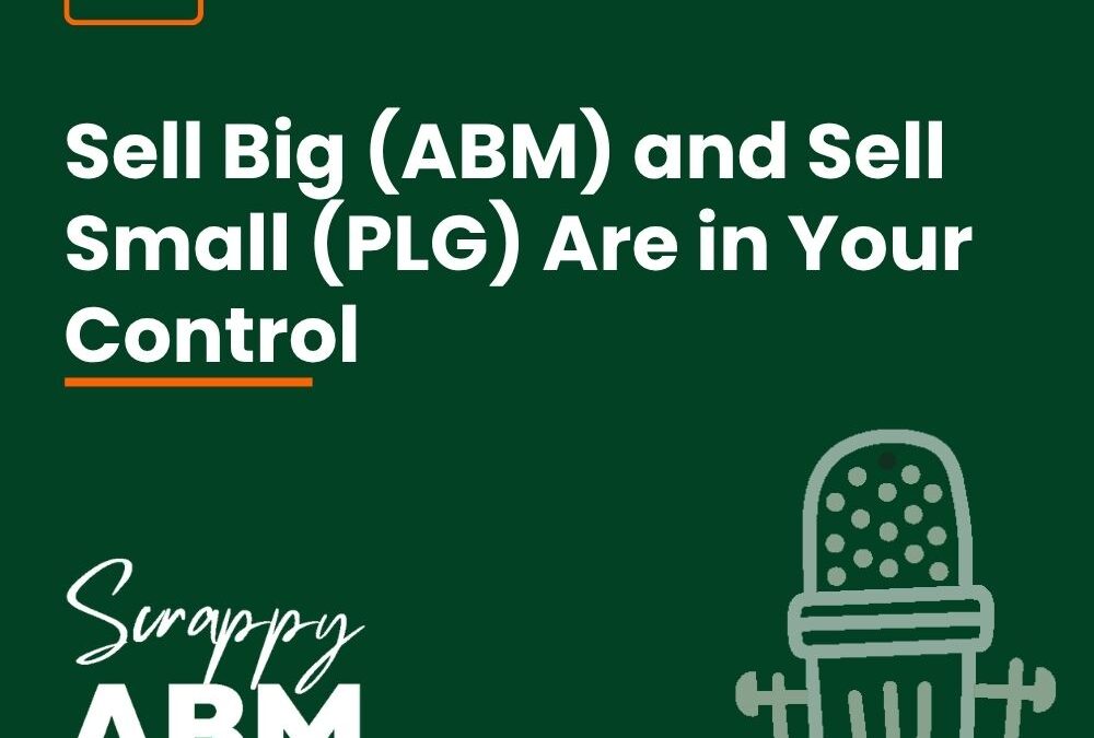 Episode 117 – Sell Big (ABM) and Sell Small (PLG) Are in Your Control